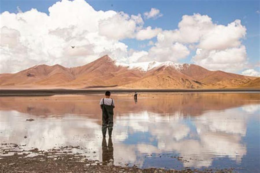 Analizar la evolución de Marte en la cordillera de los Andes