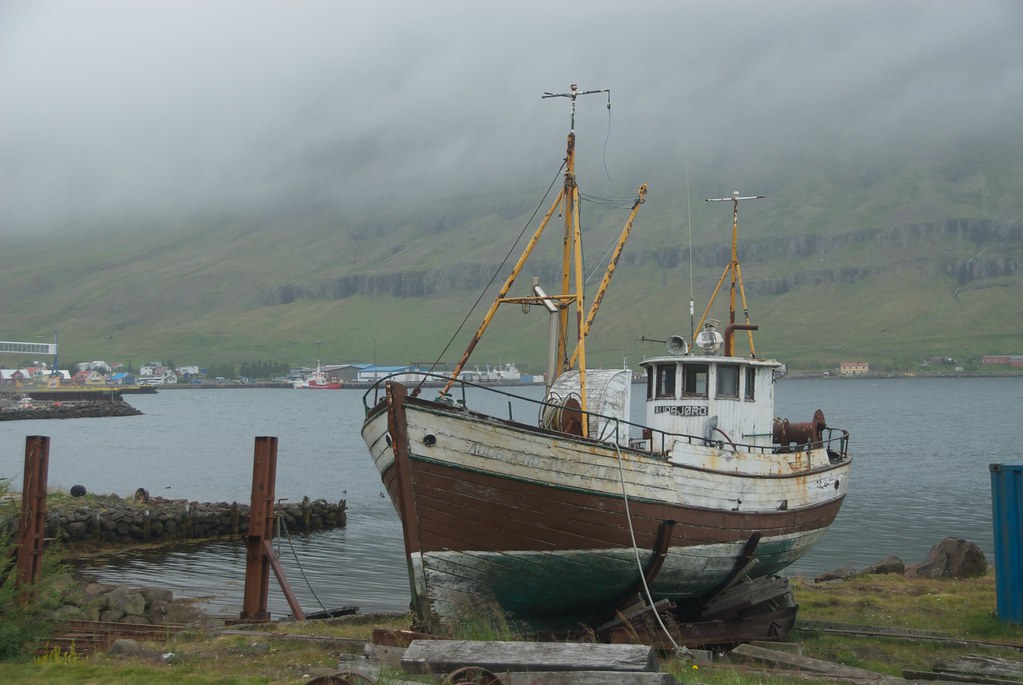 Los barcos, caldo de cultivo ideal para una epidemia