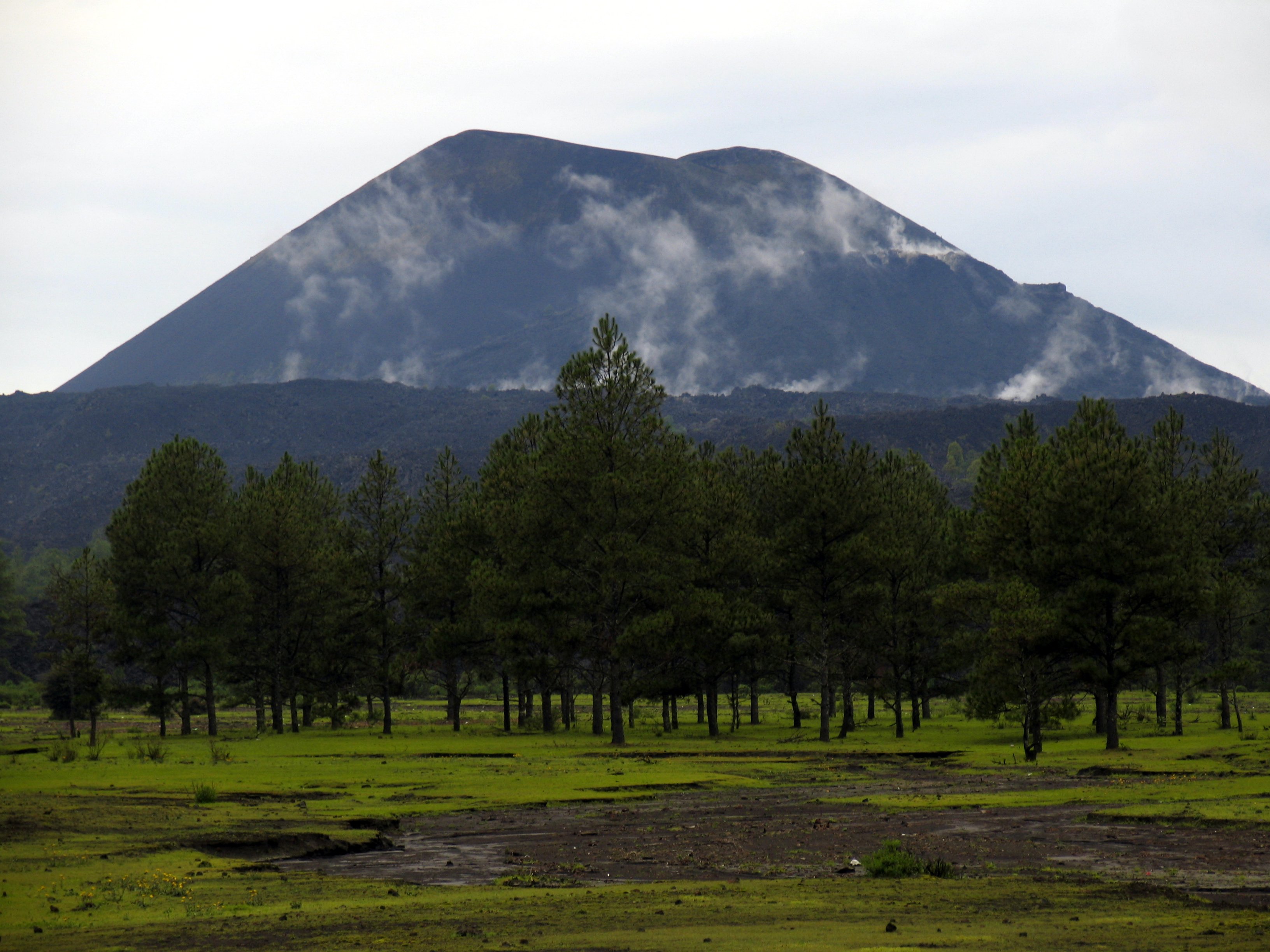  Un “enjambre de sismos” se registra en México; expertos suponen el nacimiento de un nuevo volcán 