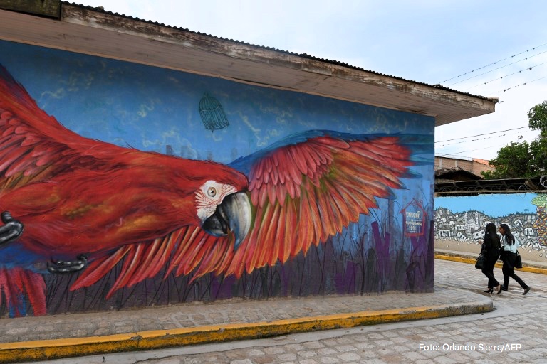 El Centro Selfie; la galería a cielo abierto más grande de Centro América 