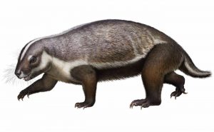Una-gran-bestia-loca-de-Madagascar-arroja-luz-sobre-la-evolucion-de-los-mamiferos