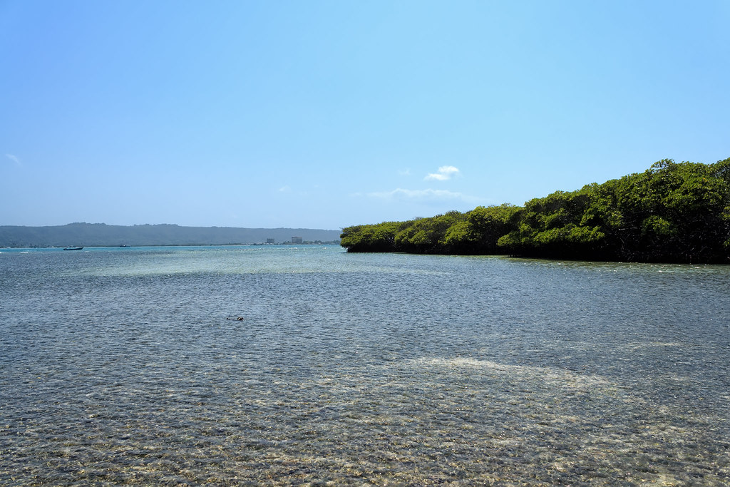 Derrame de hidrocarburos afecta reserva marina de Venezuela