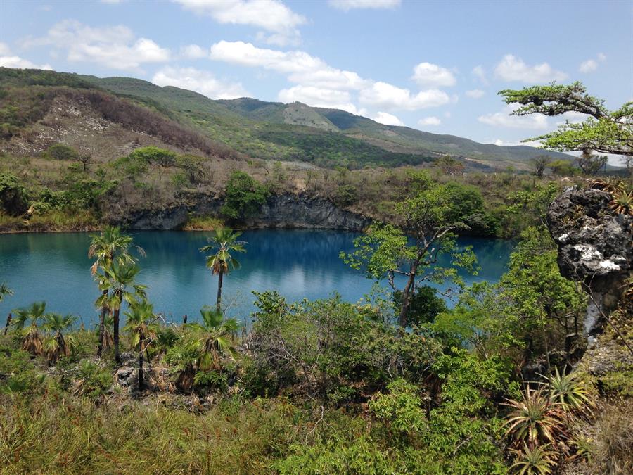 El regreso a la naturaleza resulta «clave» para la gestión hídrica