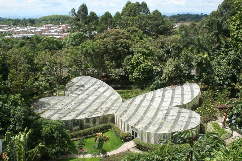 El guardián del Jardín Botánico del Quindío; una pasión de más de 40 años 