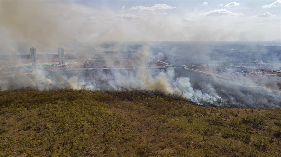 Brasil deforestó el 10 % de su territorio entre 1985 y 2019