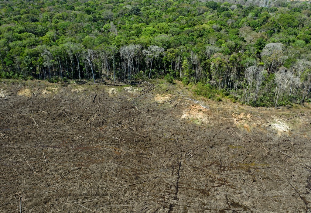 Brasil perdió un área natural del tamaño de España en 18 años