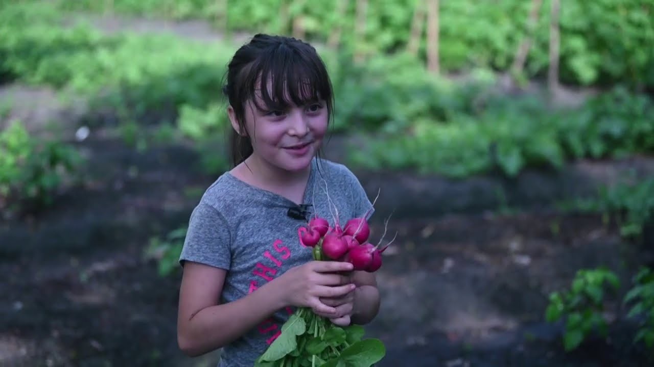 Niños salvadoreños cultivan sus propios alimentos para sobrellevar la pandemia 
