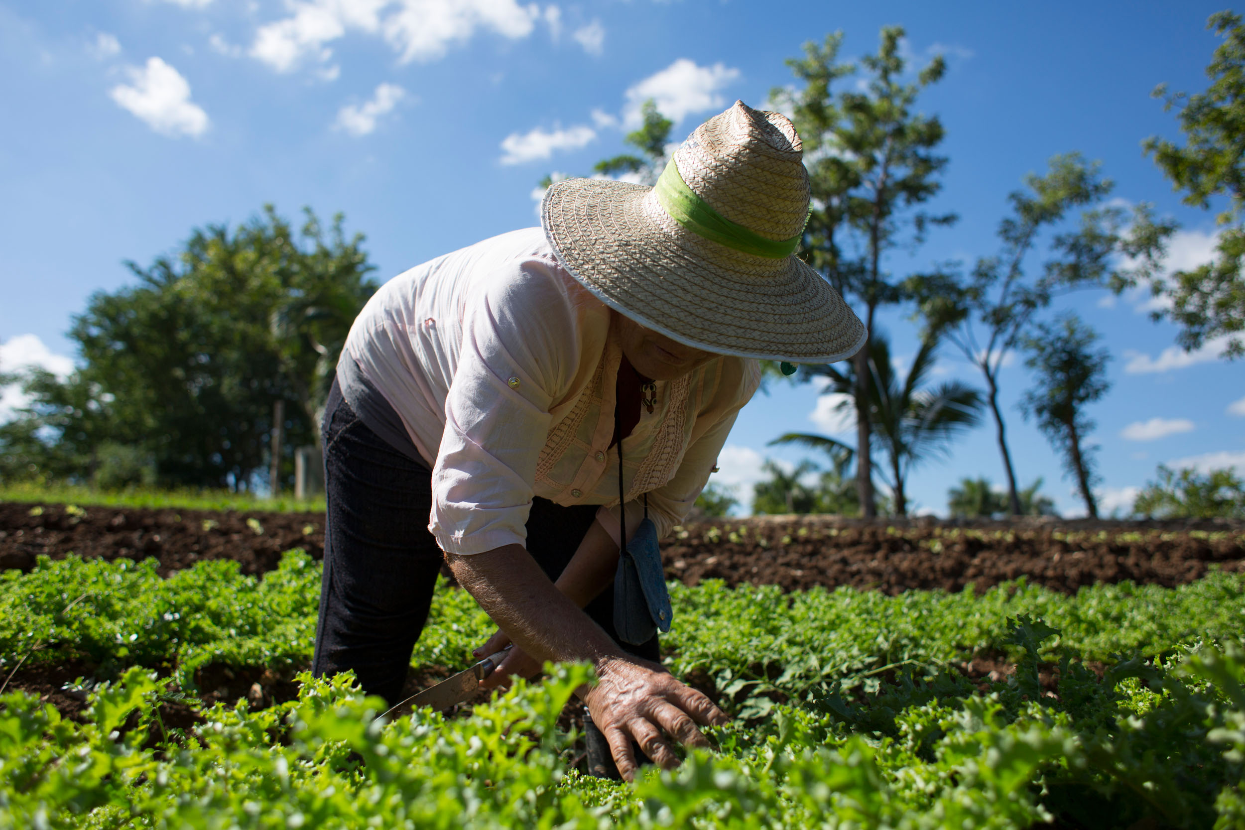 Agroecología se convierte por primera vez en política pública en Argentina