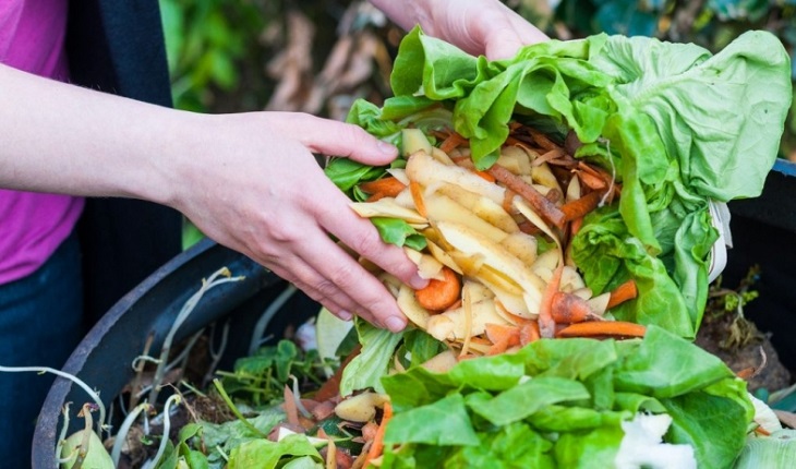 Mexicanos crean bolsa biodegradable que agiliza la descomposición de desechos orgánicos