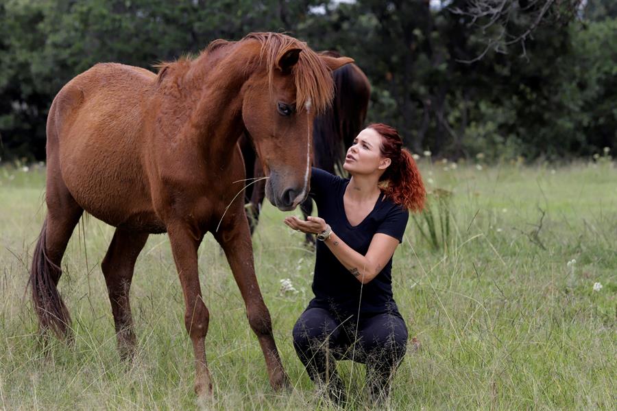 Cuacolandia, el refugio mexicano para caballos tras una vida de maltrato