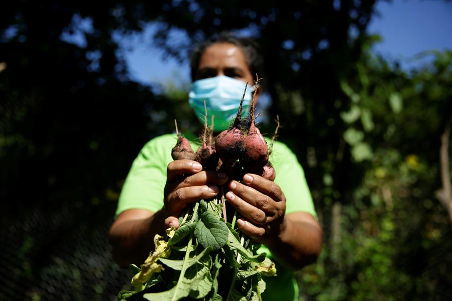 Huertos liderados por salvadoreñas para enfrentar el cambio climático