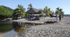 Conviviendo con cocodrilos por Ricardo Adrian Ojeda Adame en La Manzanilla, Jalisco