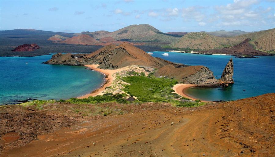 Proyecto de ciencia ciudadana catalogará la biodiversidad en las Galápagos