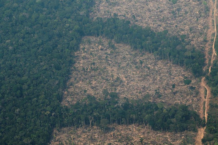 La deforestación en la Amazonía baja un 21 por ciento pero aún es alta