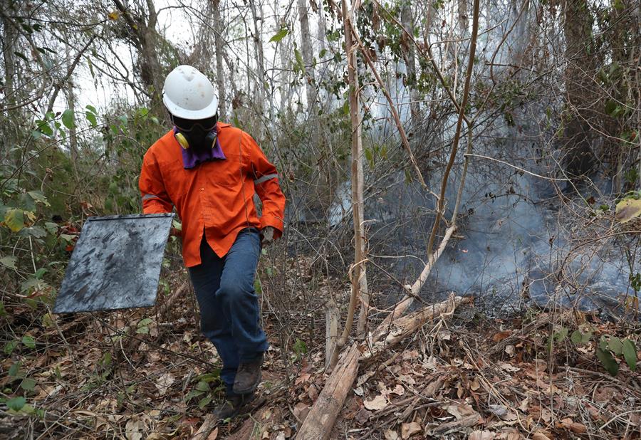 Los incendios en Bolivia no paran y arrasan con 1,5 millones de hectáreas