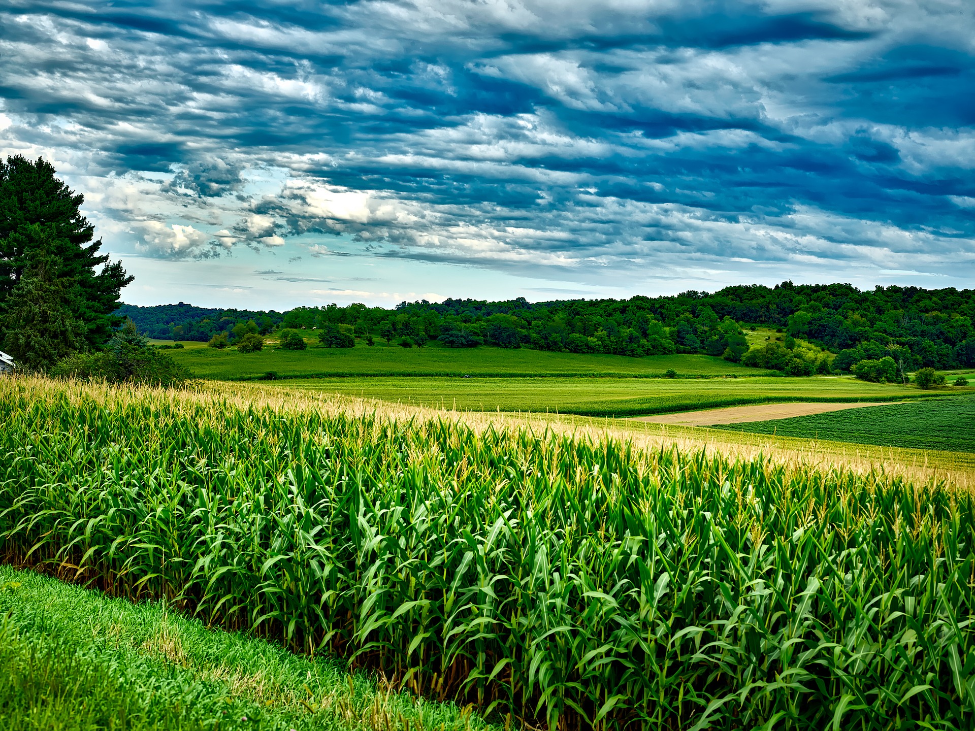 Agricultura brasileña se beneficia por la alta demanda de granos para China