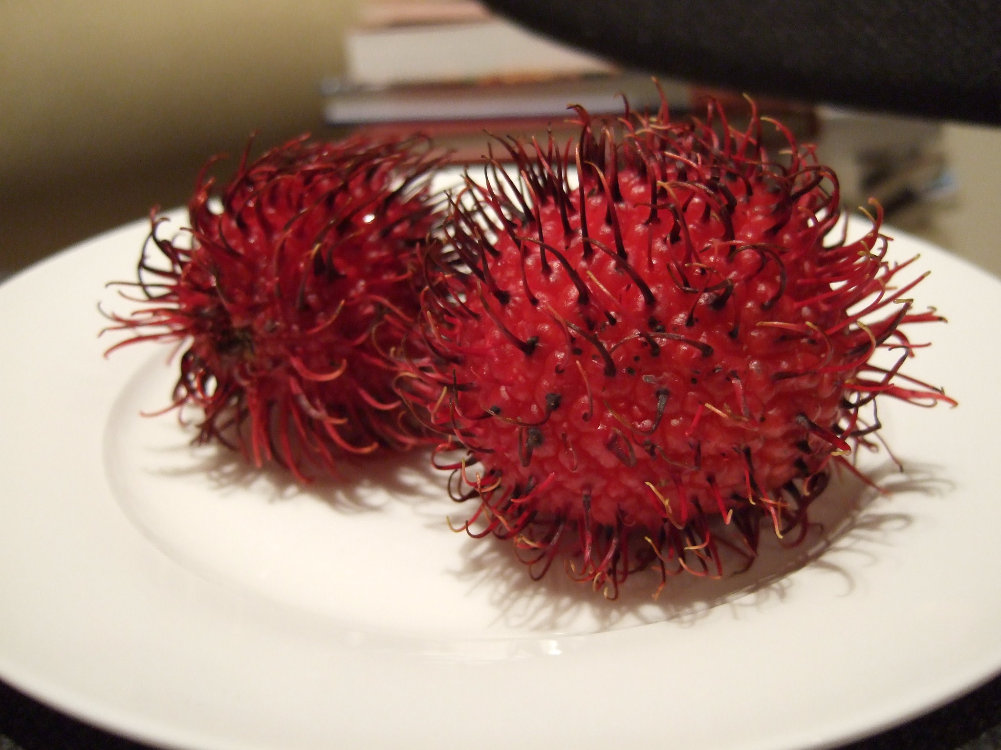 Rambután; el fruto asiático que ha llegado a los campos mexicanos 