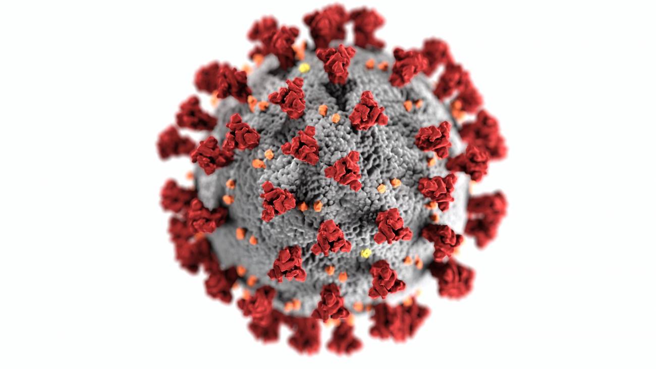 Desarrollan un clon del SARS-CoV-2 para estudiar su biología molecular