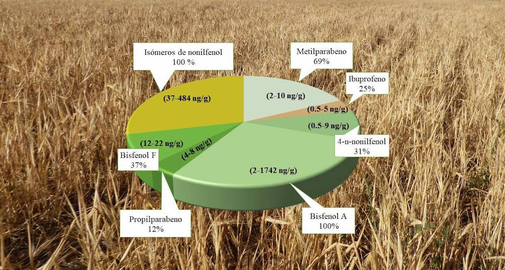 Detectan contaminantes de plásticos, detergentes y medicamentos en cereales