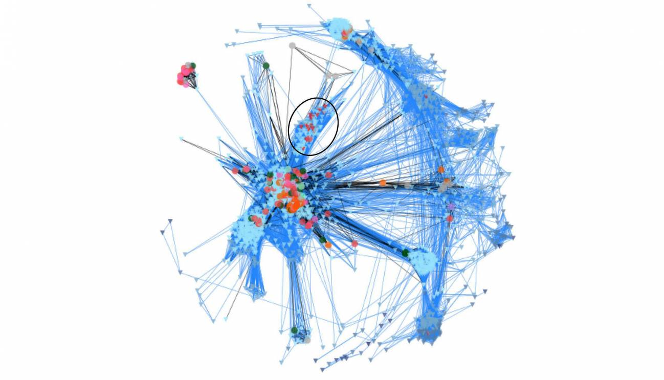 El análisis de redes de ADN revela un nuevo pariente unicelular de los animales