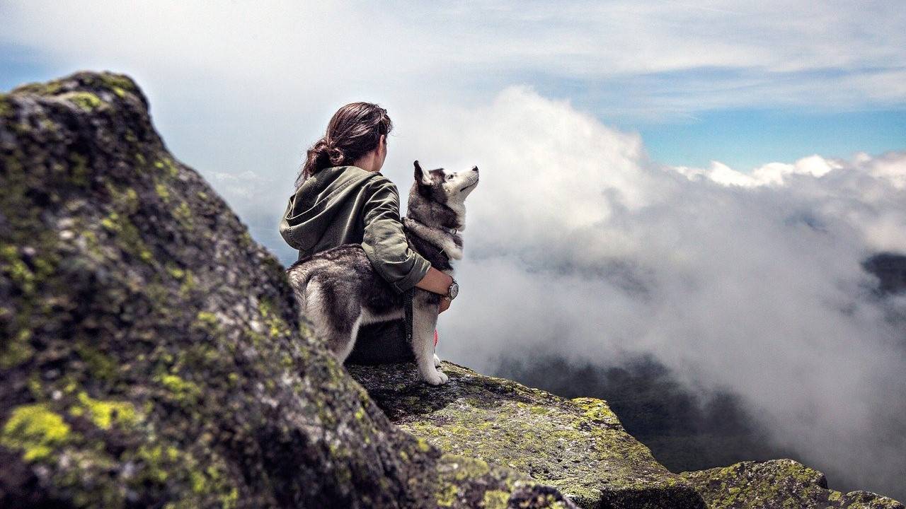 La historia evolutiva de perros y humanos no siempre ha ido de la mano