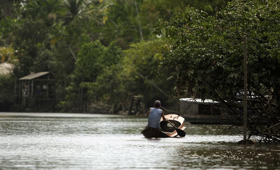 Catalogan 3,7 millones de genes microbianos que viven en el río Amazonas