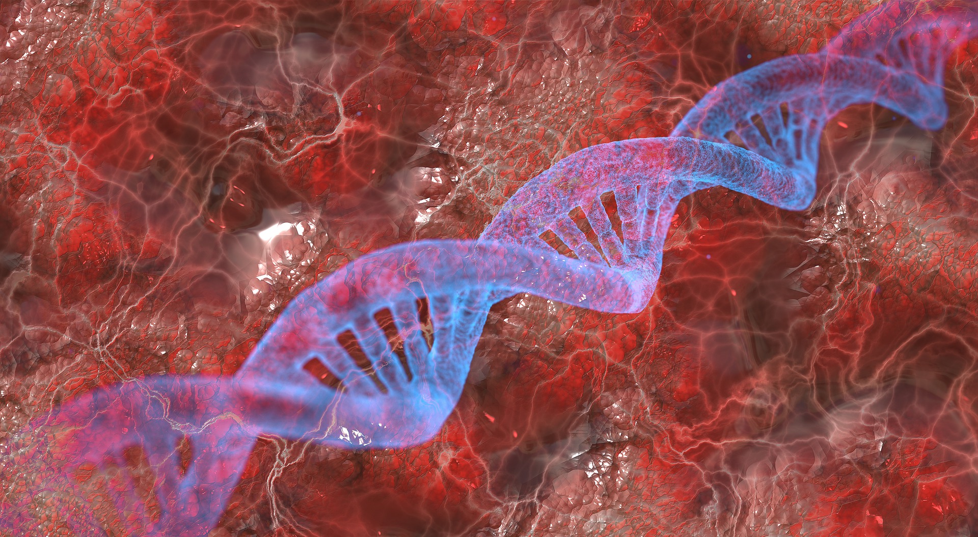 CRISPR/Cas9; las tijeras genéticas que podrían curar enfermedades desde las células