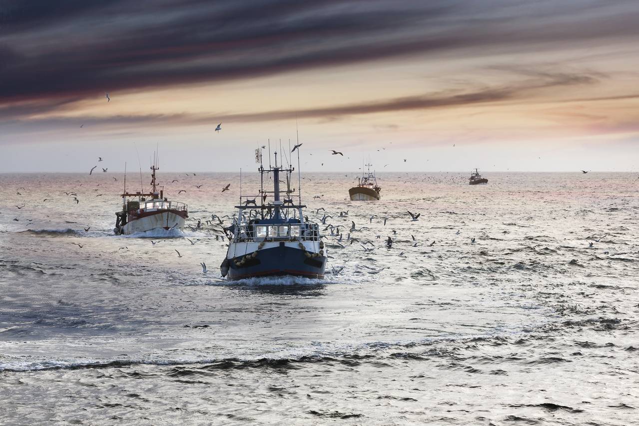 La pesca podría aliviar una emergencia alimentaria mundial en casos extremos