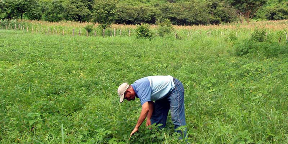 Exposición al níquel causa enfermedad renal en Mesoamérica