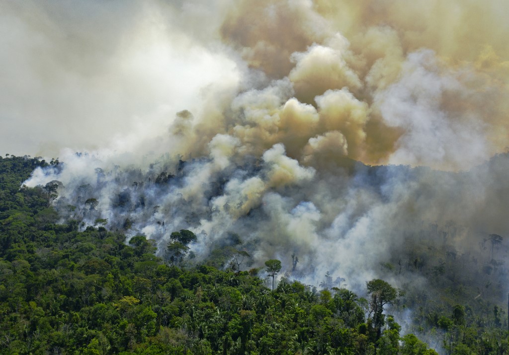 El 2020, otro año negro para el medio ambiente en Latinoamérica