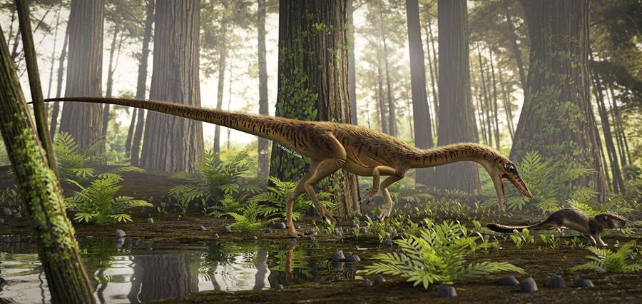 Descubren uno de los antepasados más antiguos del Tyrannosaurus Rex