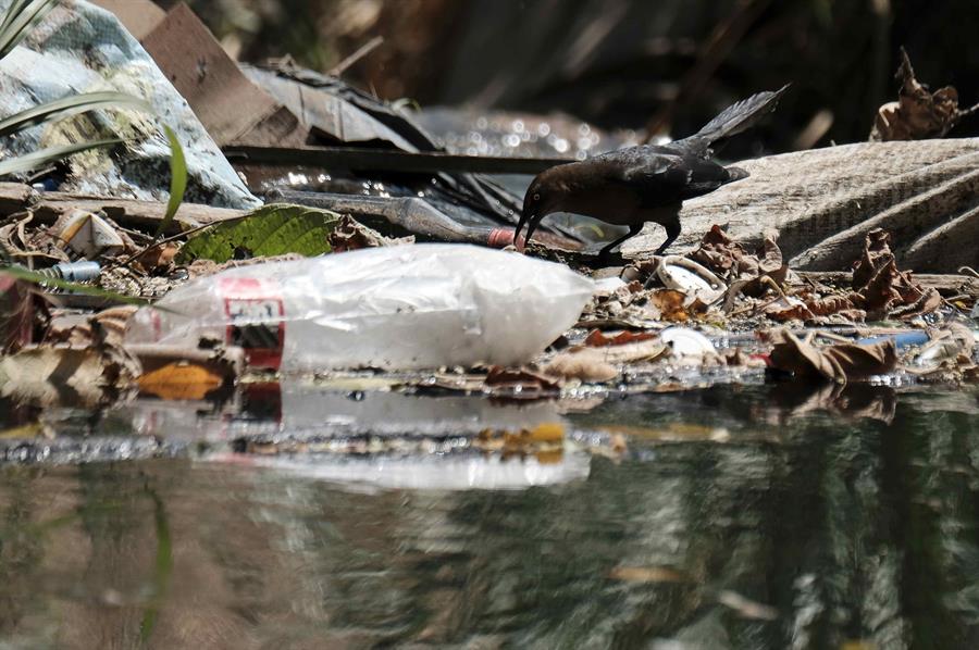 Botellas con antena ayudan a estudiar contaminación de los ríos con plásticos