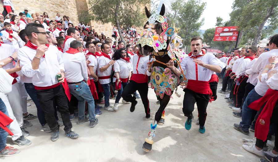 La fiesta de los caballos del vino en España entra en la lista de la Unesco