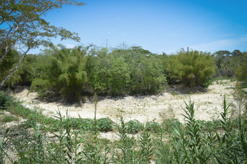 Clima del Caribe: más cálido y más seco