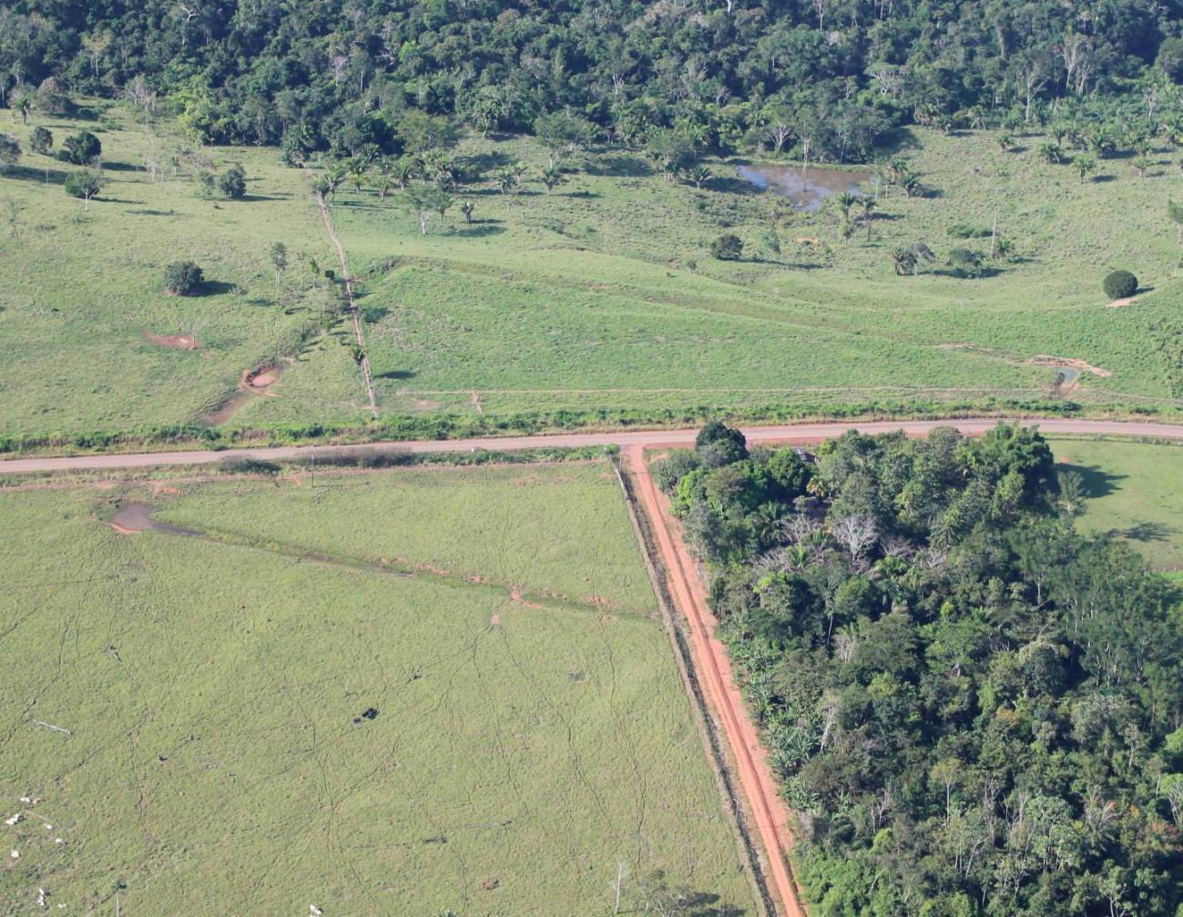 Una civilización precolonial ya realizó cambios en la selva amazónica hace miles de años