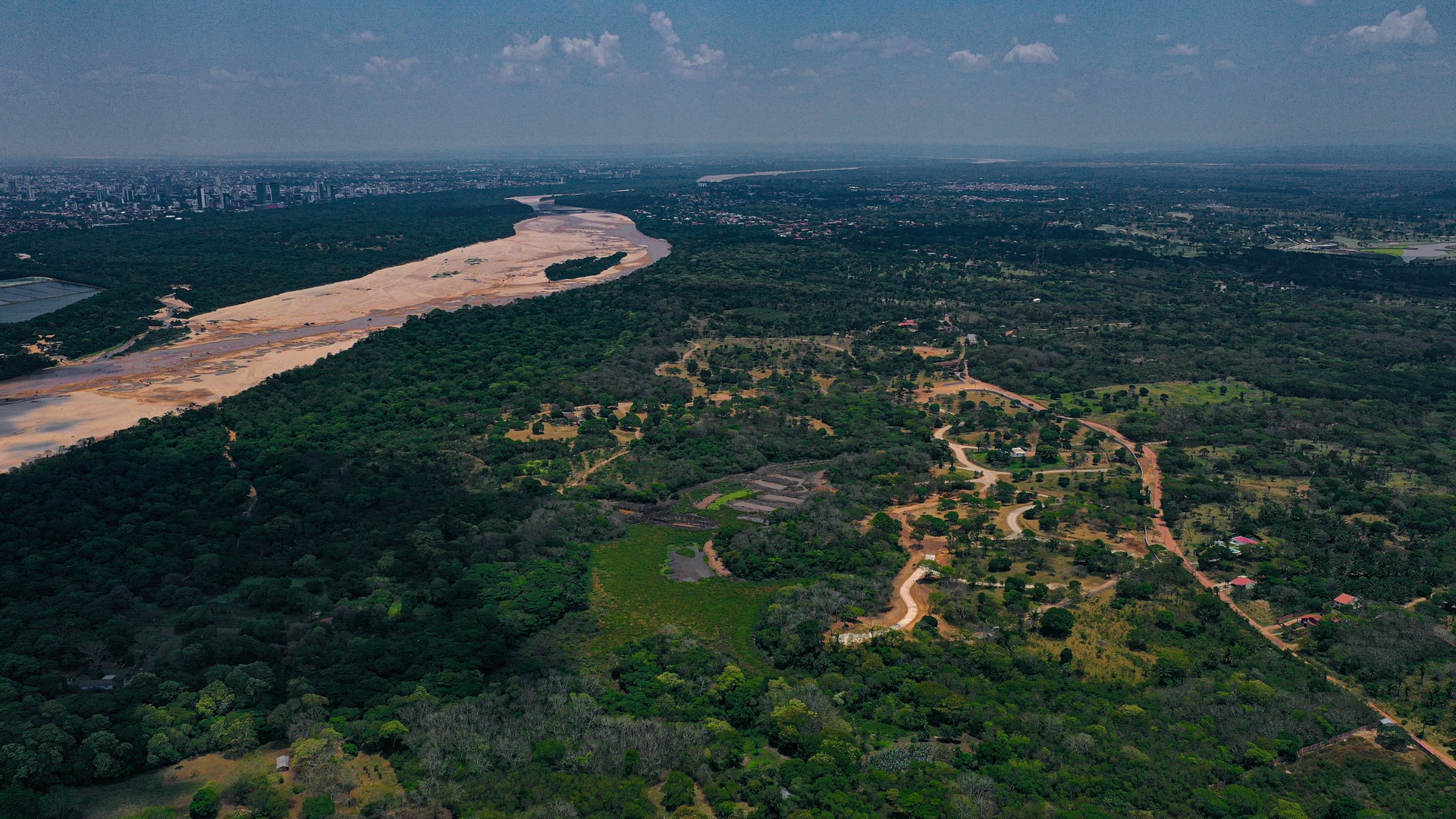 Los árboles tropicales acortan su vida por encima de los 25 grados