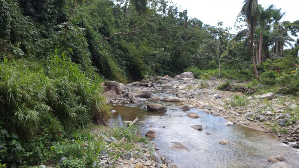 Huracán María aumentó genes de resistencia antimicrobiana en el agua