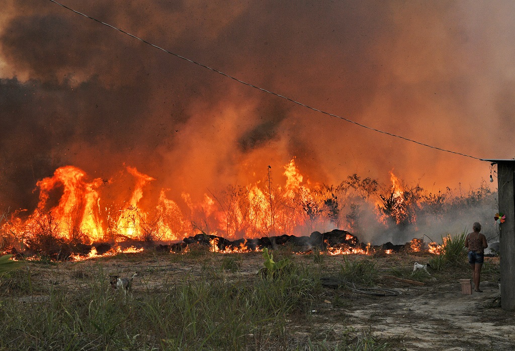 Incendios forestales aumentaron en Brasil durante 2020