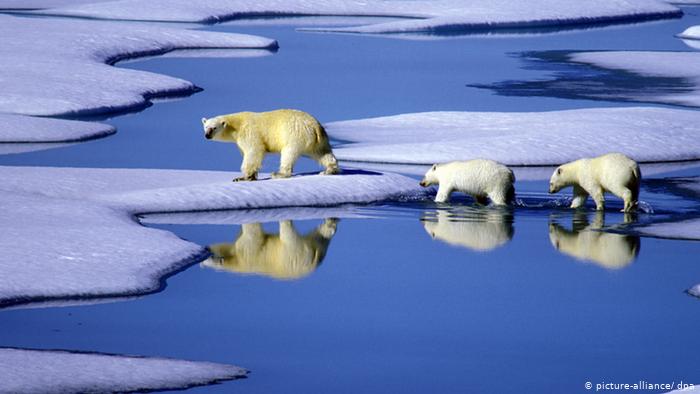 Estudio asegura que la desaparición mundial del hielo se está acelerando