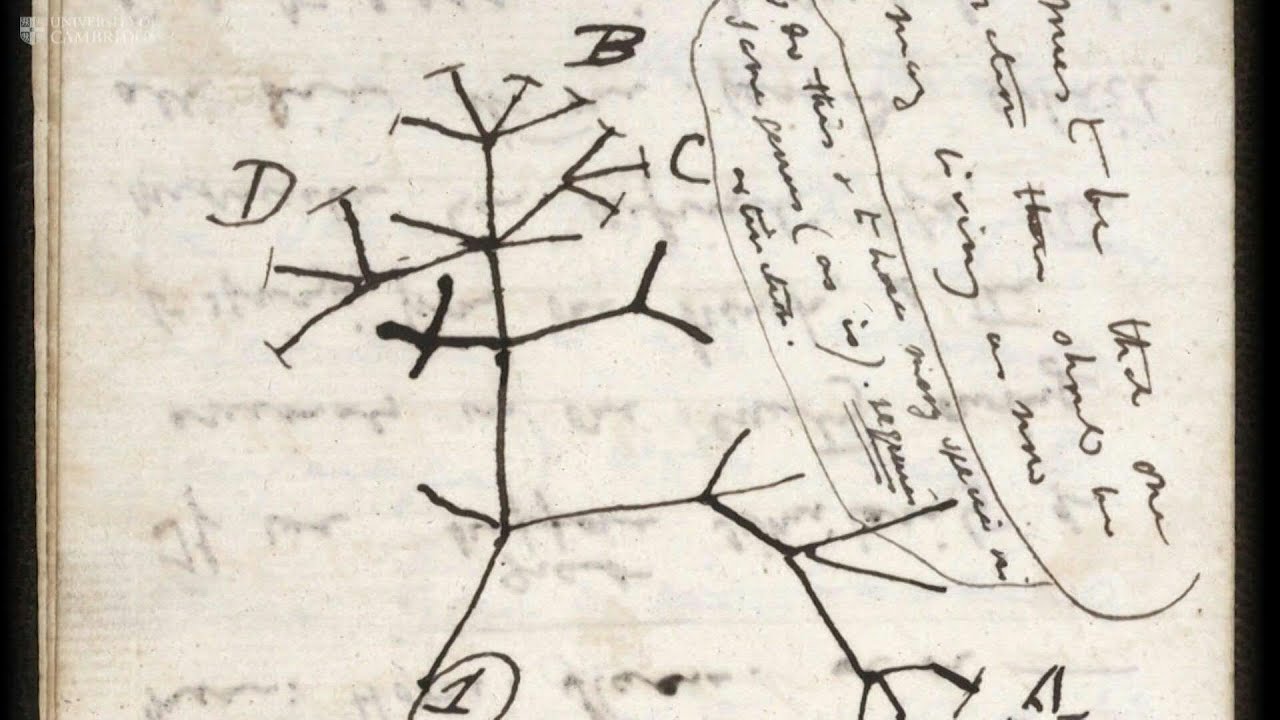 Universidad de Cambridge denuncia robo de dos libros de Charles Darwin