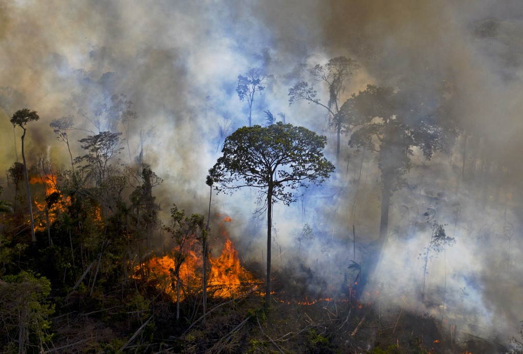 Incendios arrasaron con la Amazonía y le arrebataron el sustento a Dominga Ribeiro