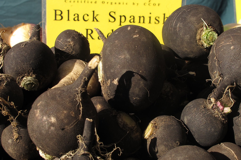 El rábano negro reduce los niveles de colesterol en la sangre