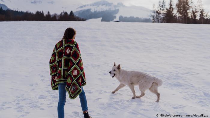 Los humanos habrían comenzado a domesticar a los lobos en la Edad del Hielo