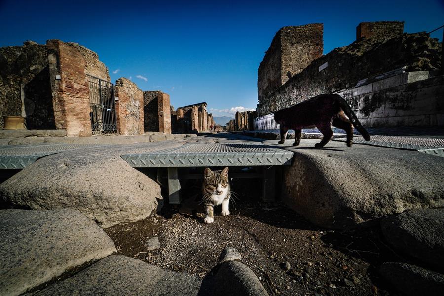 Pompeya, la ciudad sepultada, renueva su museo permanente