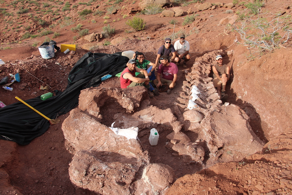 En Argentina, hallan restos de dinosaurio que podría ser el más grande que ha habitado la Tierra