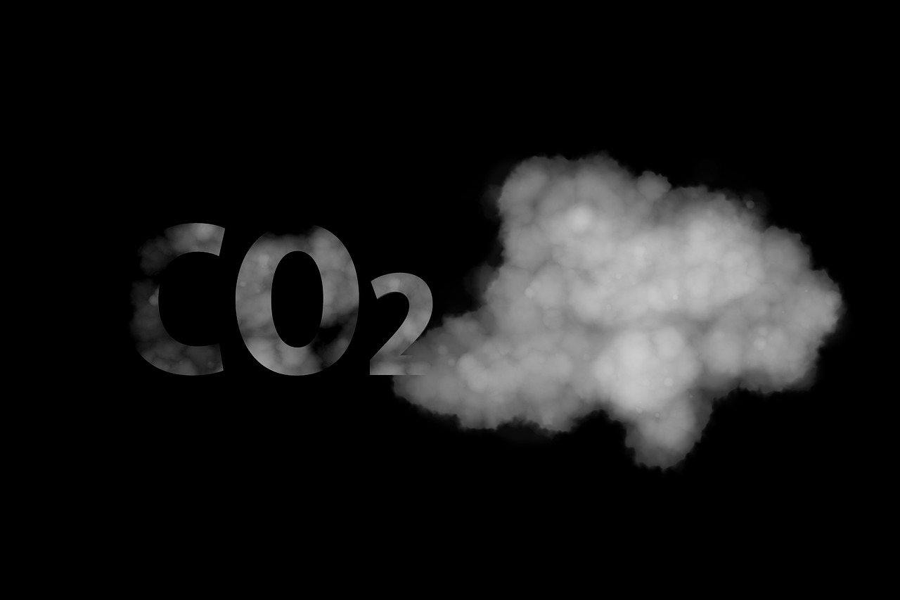 28 de enero – Día Mundial por la Reducción de las Emisiones de CO2