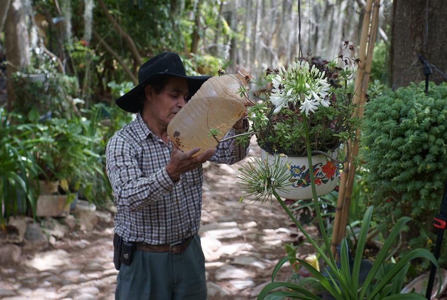 Don Julio; el hombre que transformó un desierto en un bosque