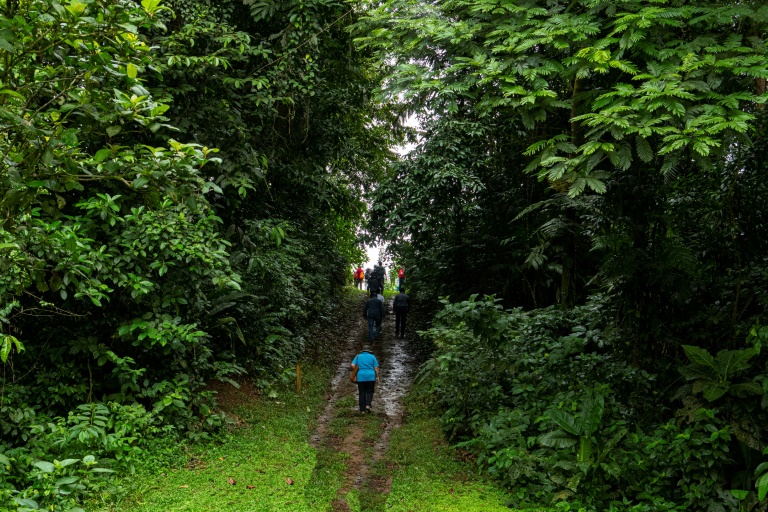 Costa Rica ofrece a turistas compensar emisiones de carbono causadas por su traslado