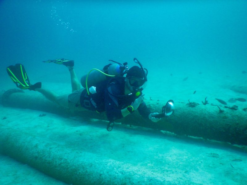 La conservación de corales; una oportunidad para recuperar poblaciones de peces en Dominicana