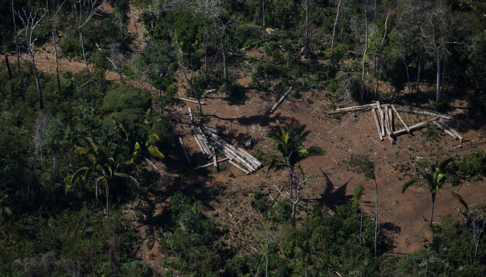 Pandemia encubre retrocesos en leyes ambientales de Brasil